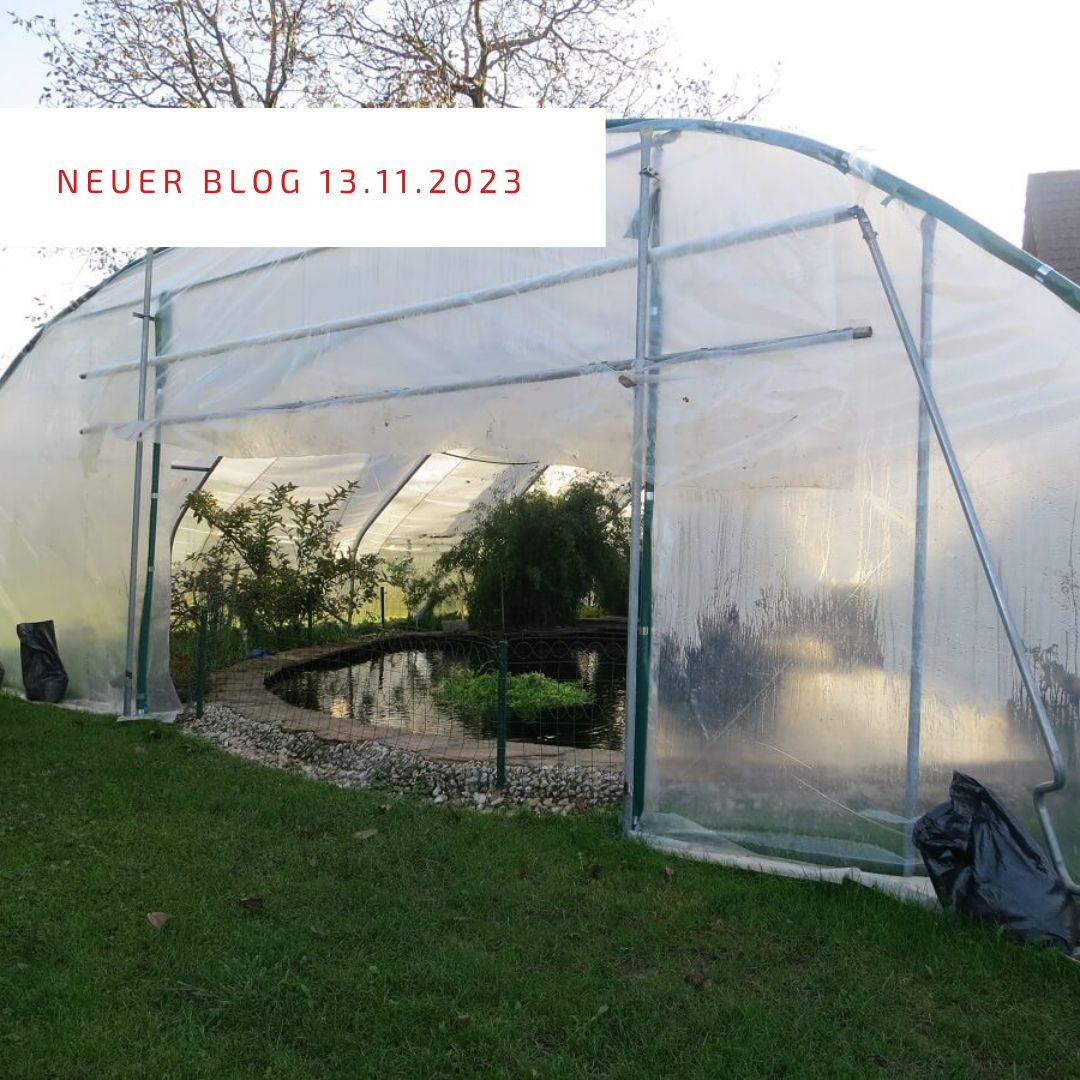 2023_11_13_Isolation mit Köpfchen