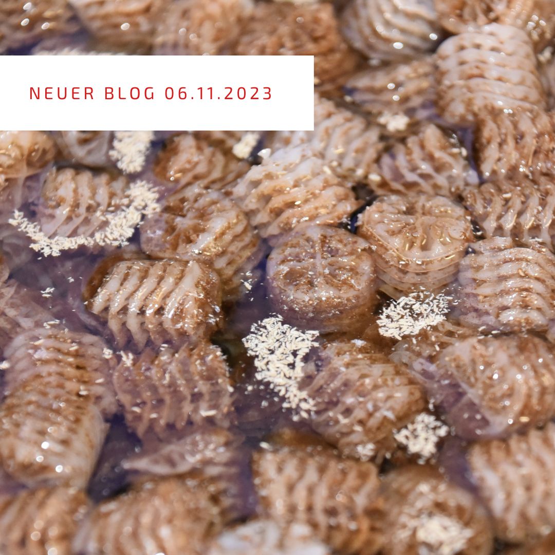 2023_11_06_Biofilter im WinterNEU