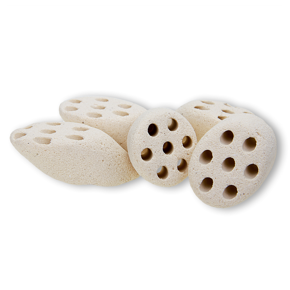 MOUNTAIN TREE Lotuswortel Nitroring