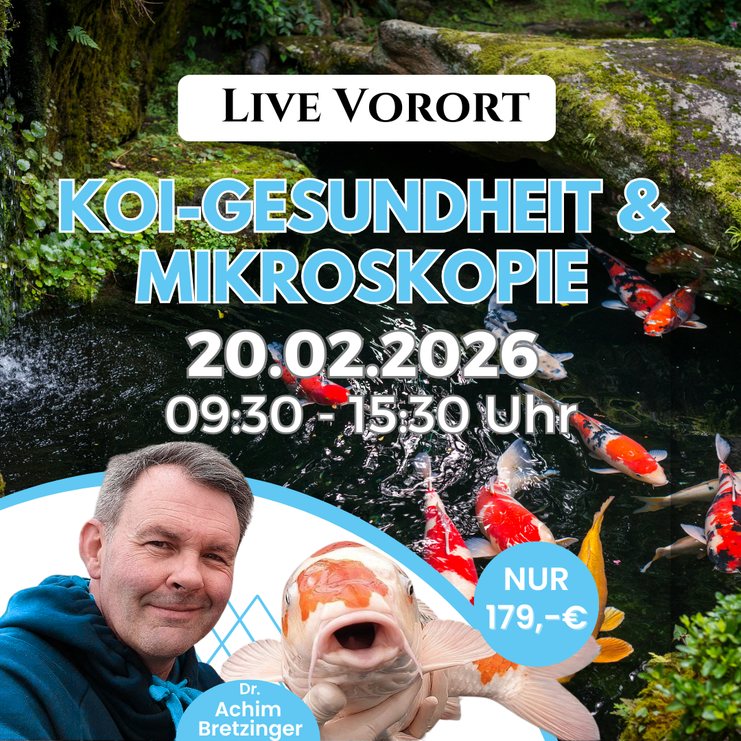 Koikurs zu Koihaltung, Gesundheit & Mikroskopie mit Dr. Achim Bretzinger am 20.02.2026