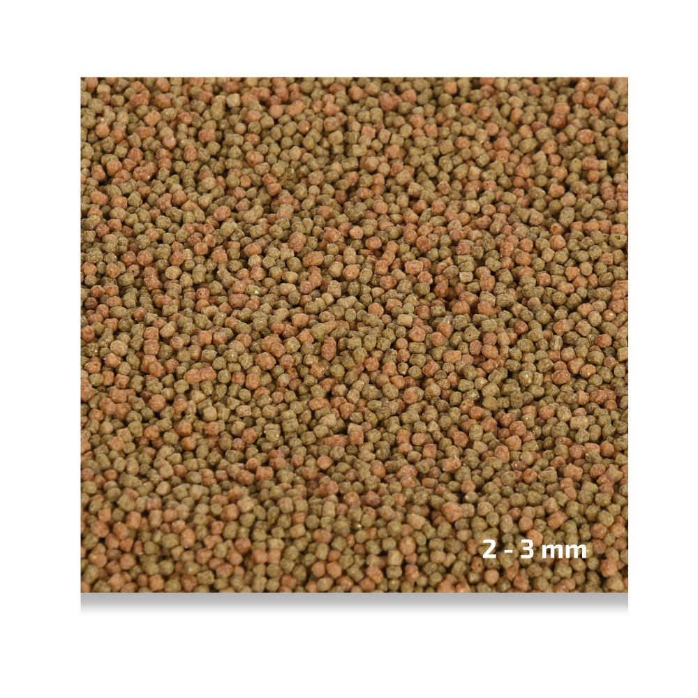 Koi Special voermix Medium boven 15 °C