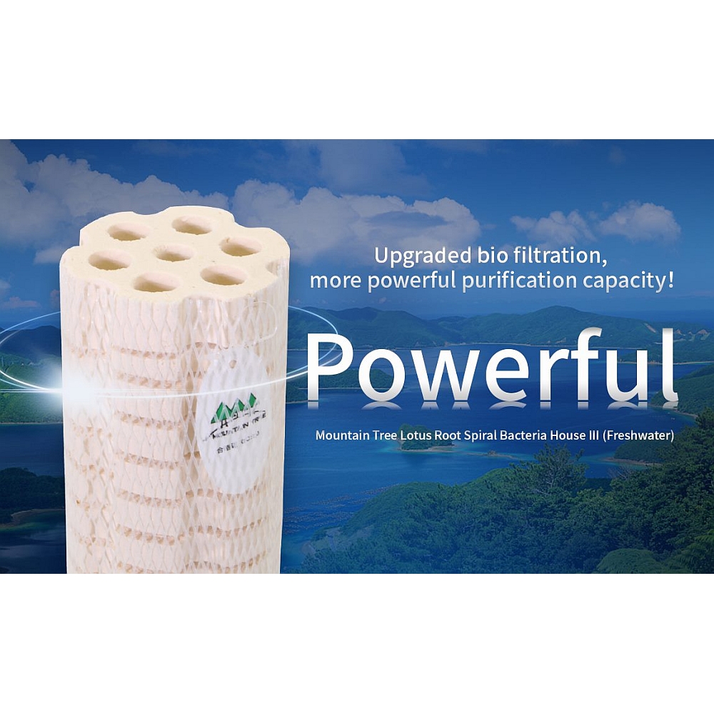 MOUNTAIN TREE Bacteriehuis III 8 x 25 cm 12 stuks