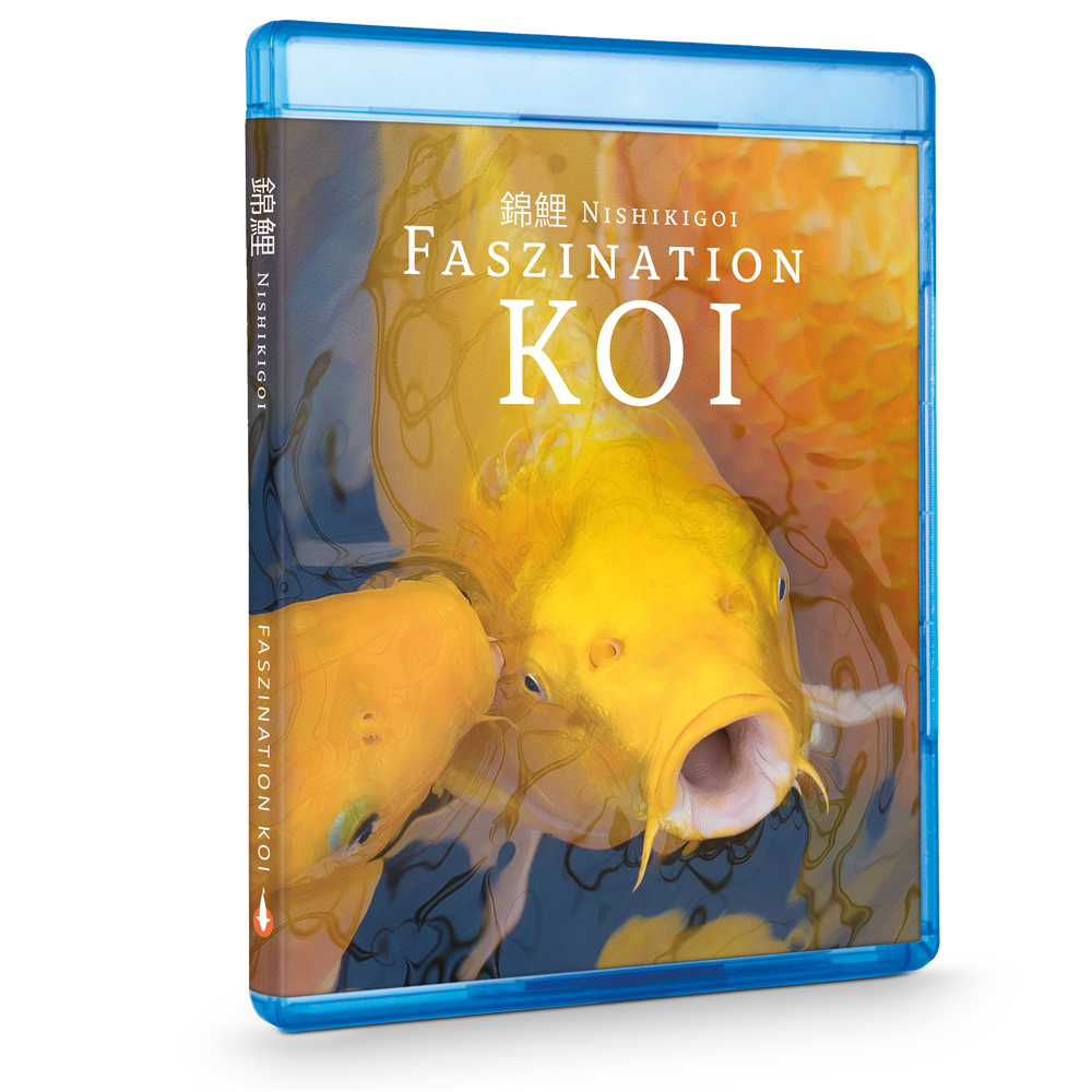 Nishikigoi | De fascinatie van koi - BluRay deel 1